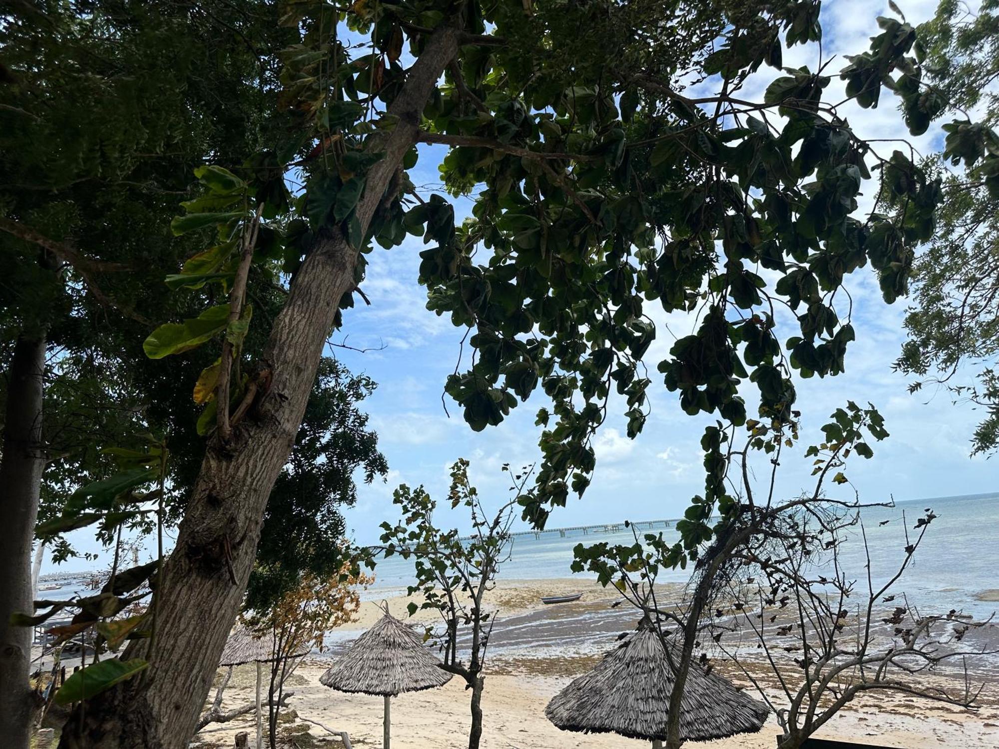 Maweni Beach Bungalows Kilindoni Bagian luar foto